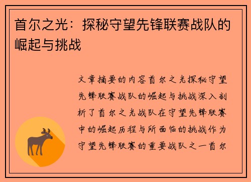 首尔之光：探秘守望先锋联赛战队的崛起与挑战